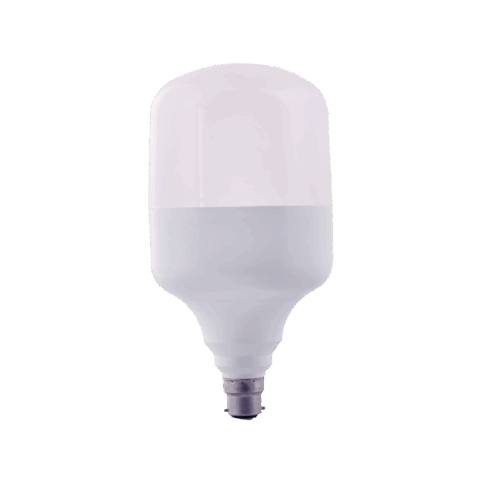 High Wattage LED Bulb 48 Watt
