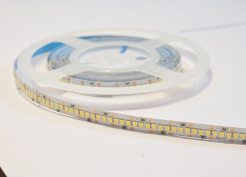 12 V LED Strip 2835 240 LED in 10 mm 22 Watt